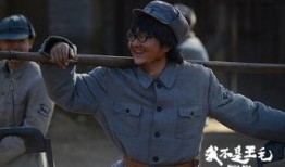 我不是王毛在线观看,揭秘网络热剧背后的真实人生